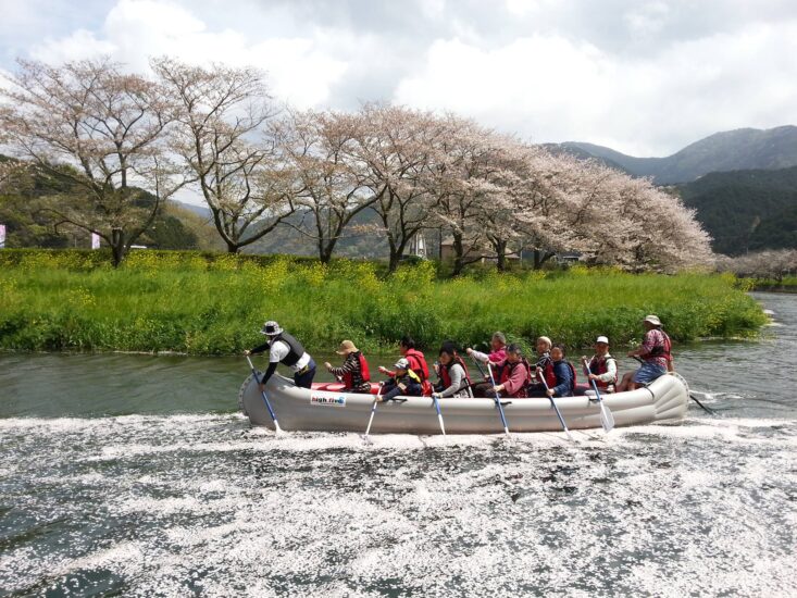 第2回　那賀川花見舟体験　開催！　～桜並木を水上散歩～