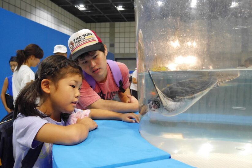 8/11～8/26　夏休み地球水族館　開催！　☆日本最大級の移動水族館☆