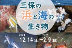 「三保の浜と海の生き物」イベントのご紹介