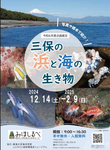 「三保の浜と海の生き物」イベントのご紹介